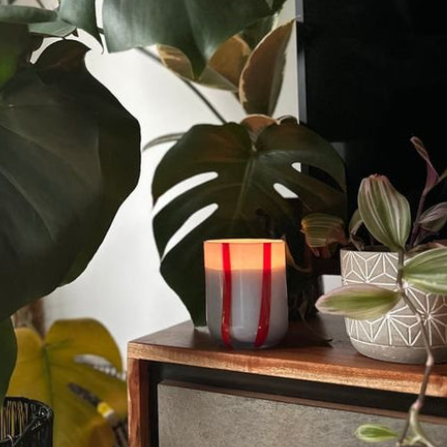 Bold Glass 10oz Candle - Tomato/Mint Leaf