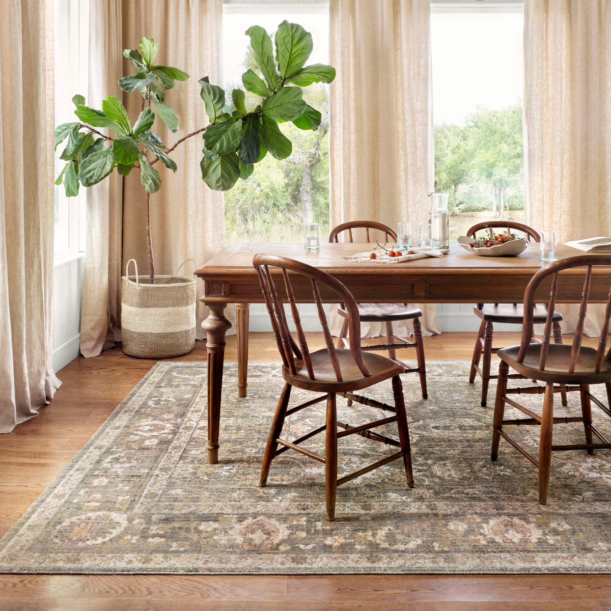 Chris Loves Julia x Loloi Rosemarie Sage/ Blush Rug