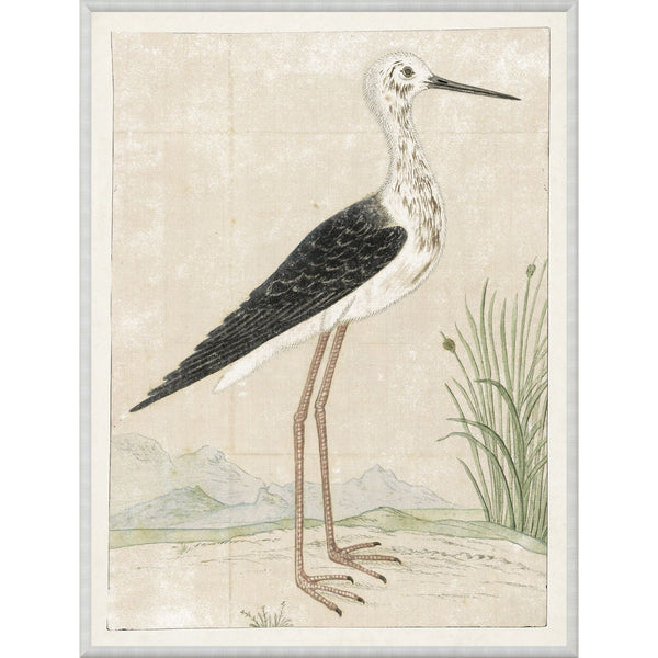 Gordon Black Winged Stilt Wall Art