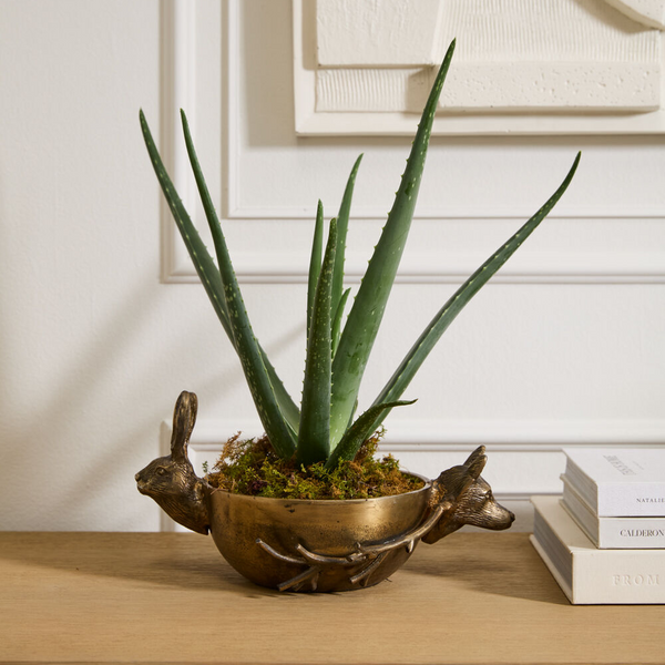 Whimsical Eric the Hare & Eloise the Fox Bowl