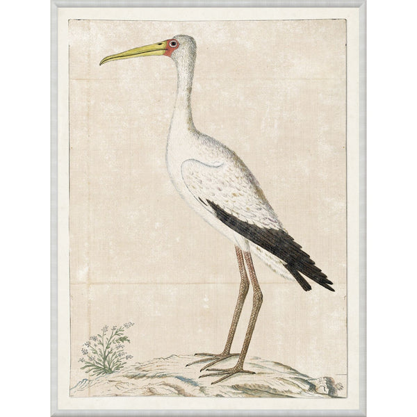 Gordon Wood Start Wall Art