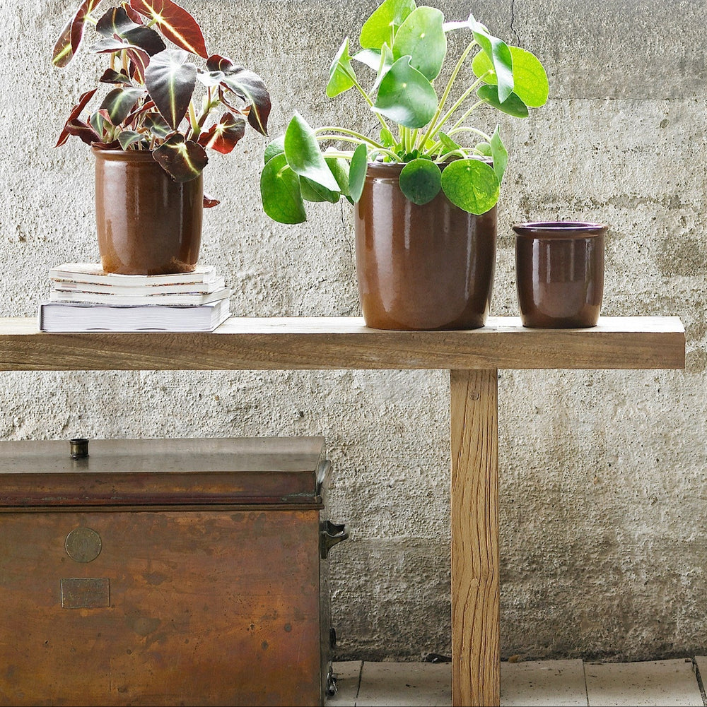 Brown Preserving Pots
