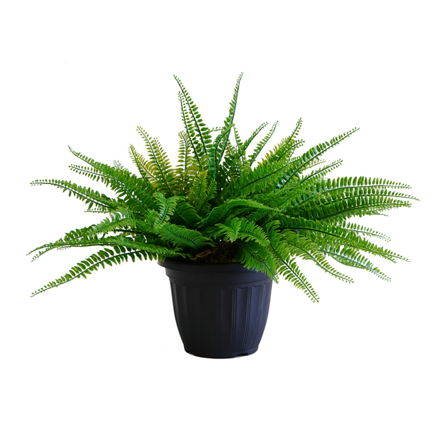 Artificial Outdoor Greenery – Hauser Company Stores