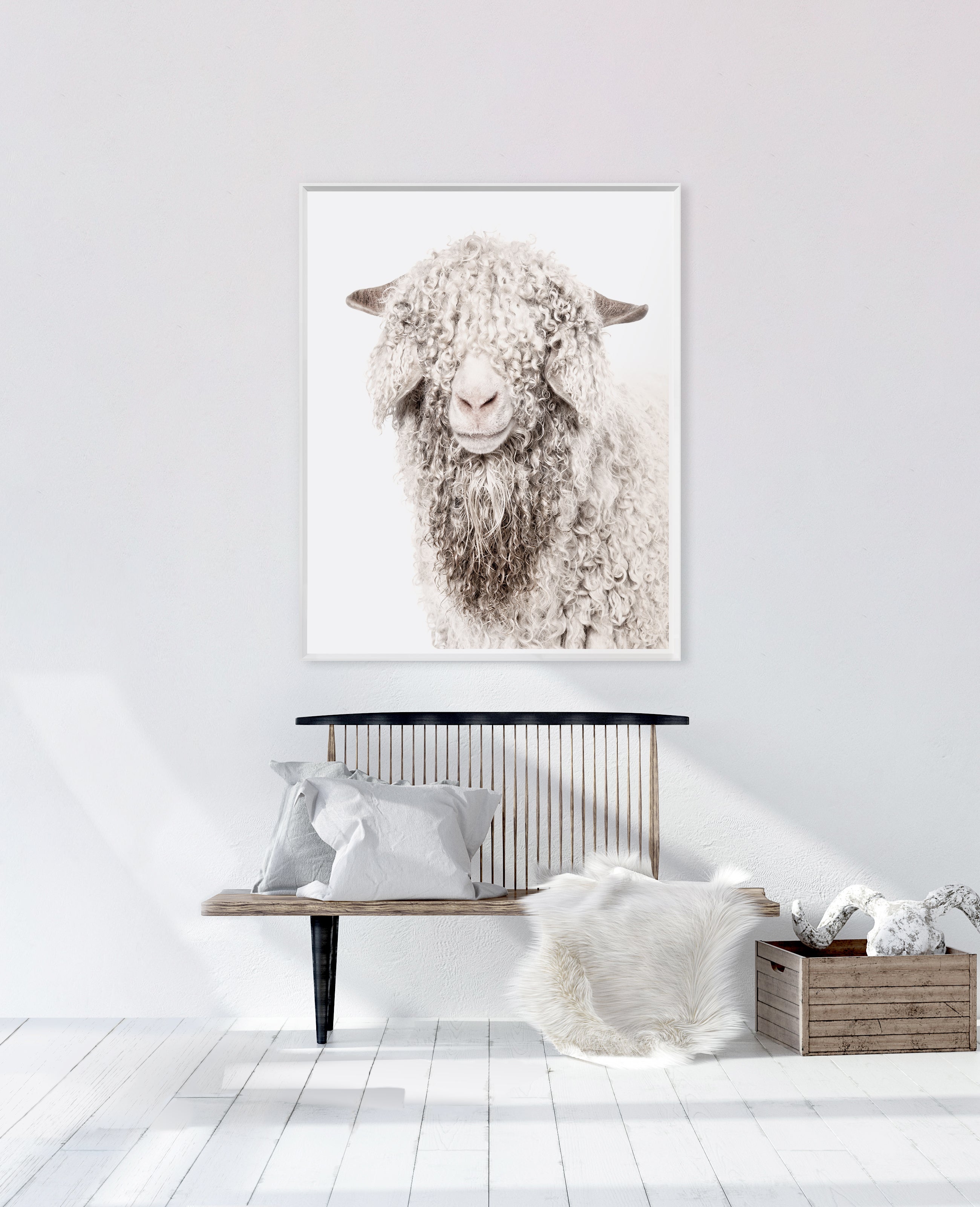 Angora Goat Wall Art