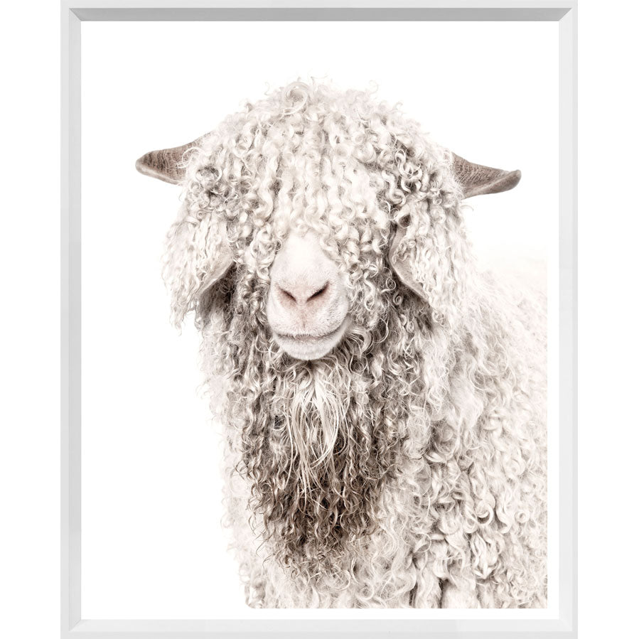 angora sheep head print, subtle tone on tone warm gey brown colours, white background, white frame with glass