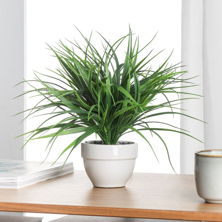 Table grass plant online